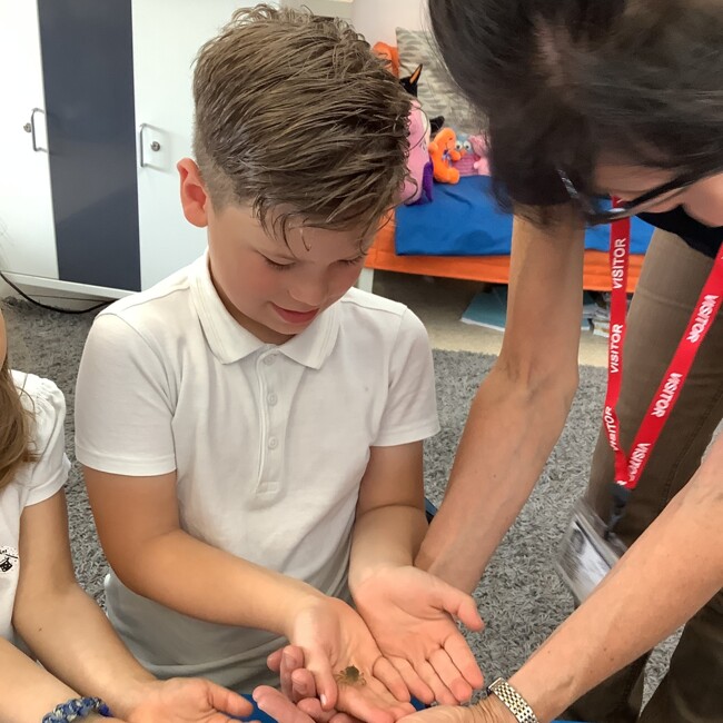 Y1/2 Chichester Harbour Workshop
