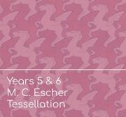 Year 5 and 6 Escher