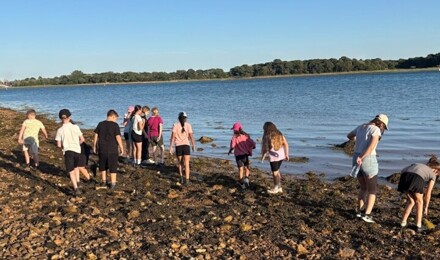 Screenshot 2025 07 03 084839