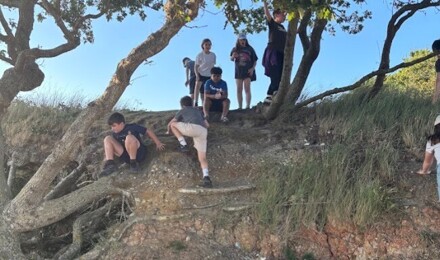 Screenshot 2025 07 03 084642