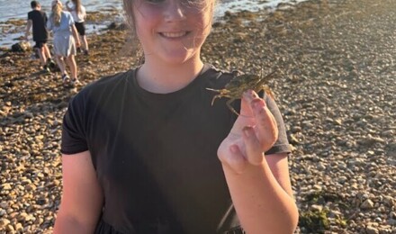 Screenshot 2025 07 03 084602