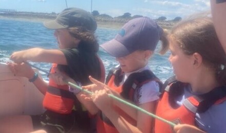 Screenshot 2025 07 04 104553