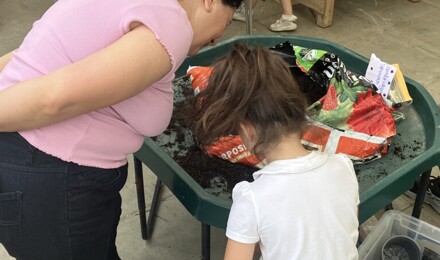 77B76B0E B8CD 4051 8CA7 F17D27C9651B