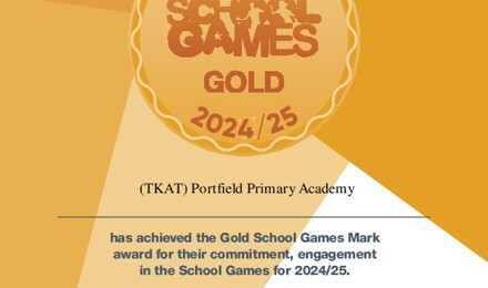 SG mark 2024 25 certificate gold (1)