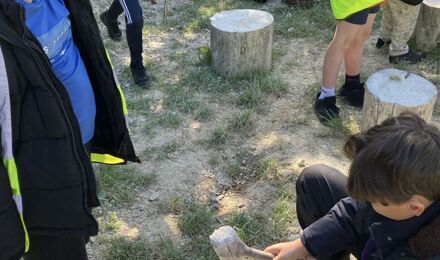 IMG 1724