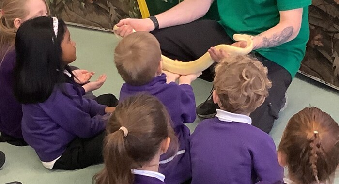 Y1/2 Reptylers Visit